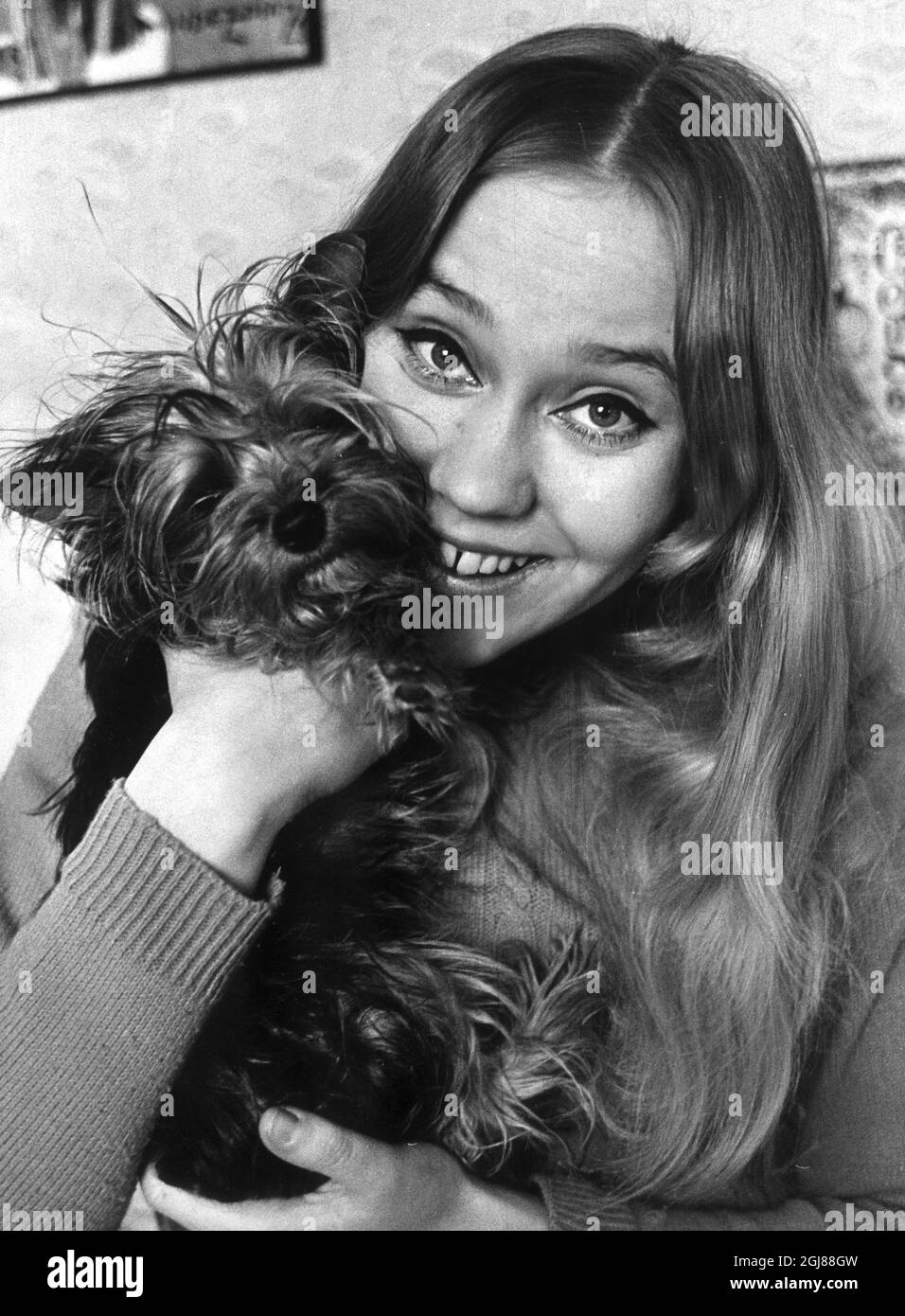 DOSSIER 19680228 - Singer Agnetha Faltskog avec un chien. À cette époque sur les cartes suédoises avec sa propre chanson 'I was so in love' 'JAG var sa kar'. Foto: Jan Holmlund / SCANPIX code 18 Banque D'Images