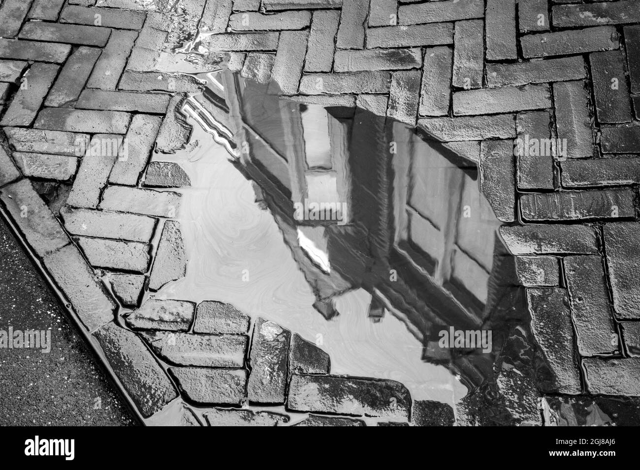 Europe, pays-Bas, la Haye. Noir et blanc des bâtiments reflétés dans la flaque de pluie du trottoir. Banque D'Images