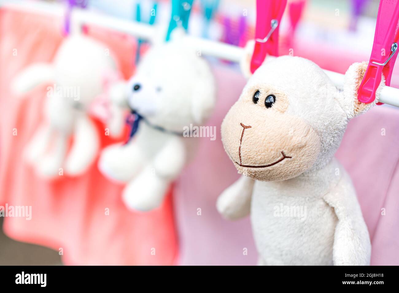 Les jouets mous sont séchés dans un sèche-linge. Banque D'Images