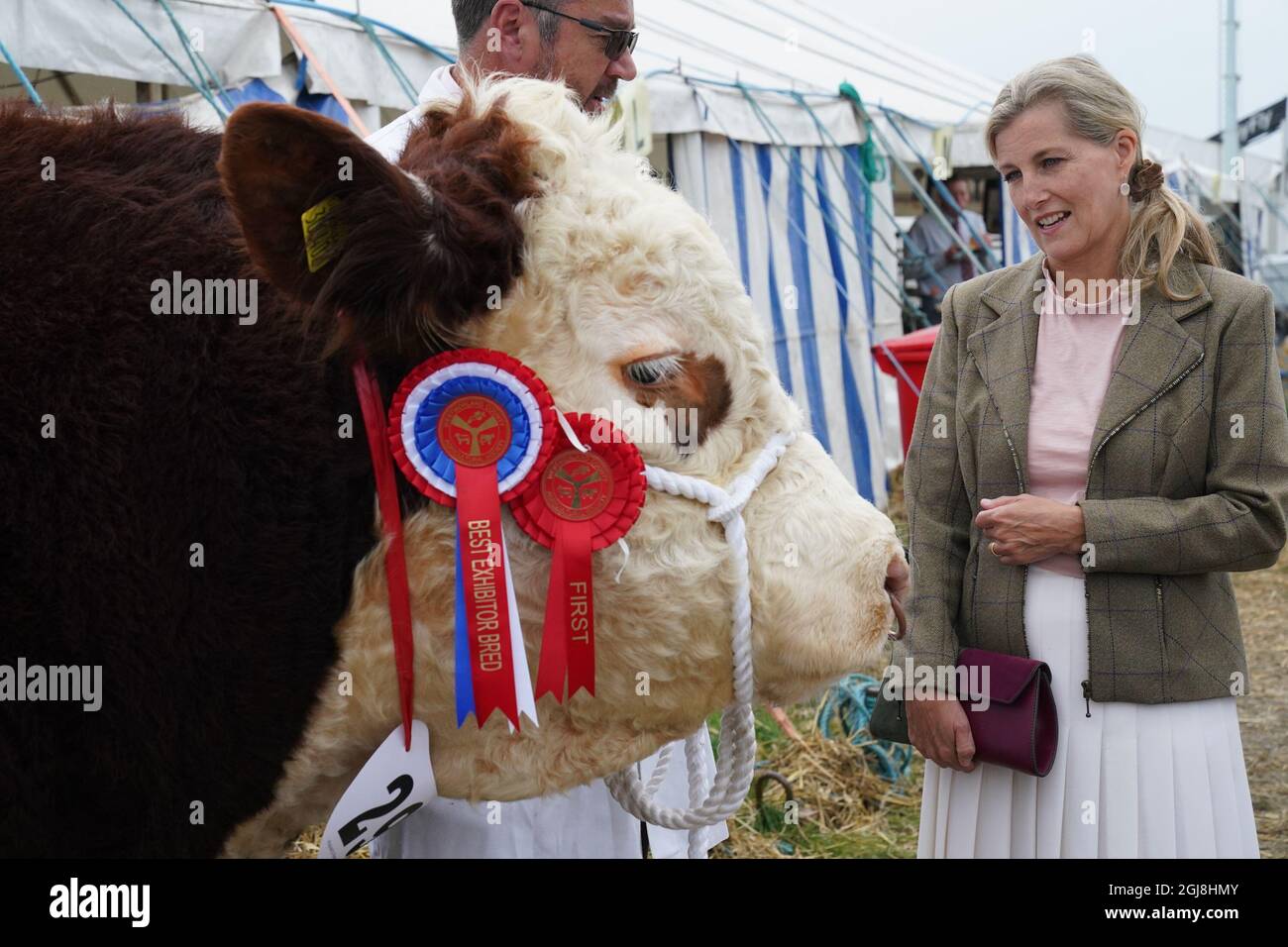 La comtesse de Wessex voit le champion Hereford Bull au Westmorland County Show à Crooklands, Cumbria, avant une visite de la princesse Royal et de la comtesse de Wessex. Date de la photo : jeudi 9 septembre 2021. Banque D'Images