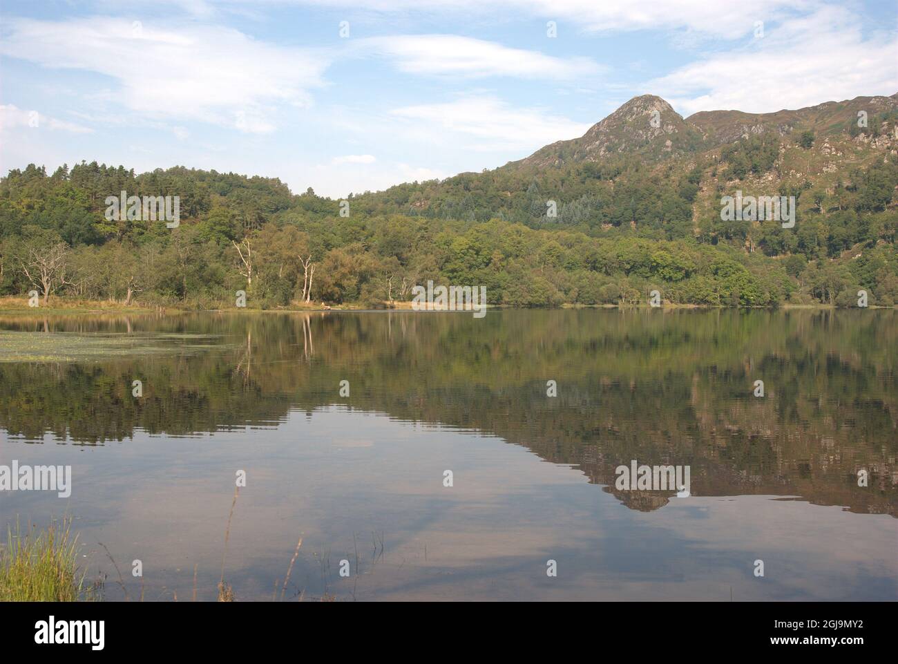 extrémité ouest du Loch Achray à Trossachs Banque D'Images