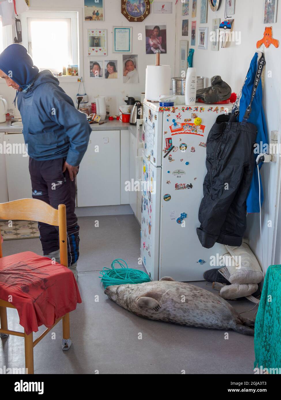 Chassé le phoque dans une maison d'un Inuit. La carcasse gèle à  l'extérieur, ce qui la rend impossible à la peau. Le vill traditionnel et  éloigné des Inuits groenlandais Photo Stock -