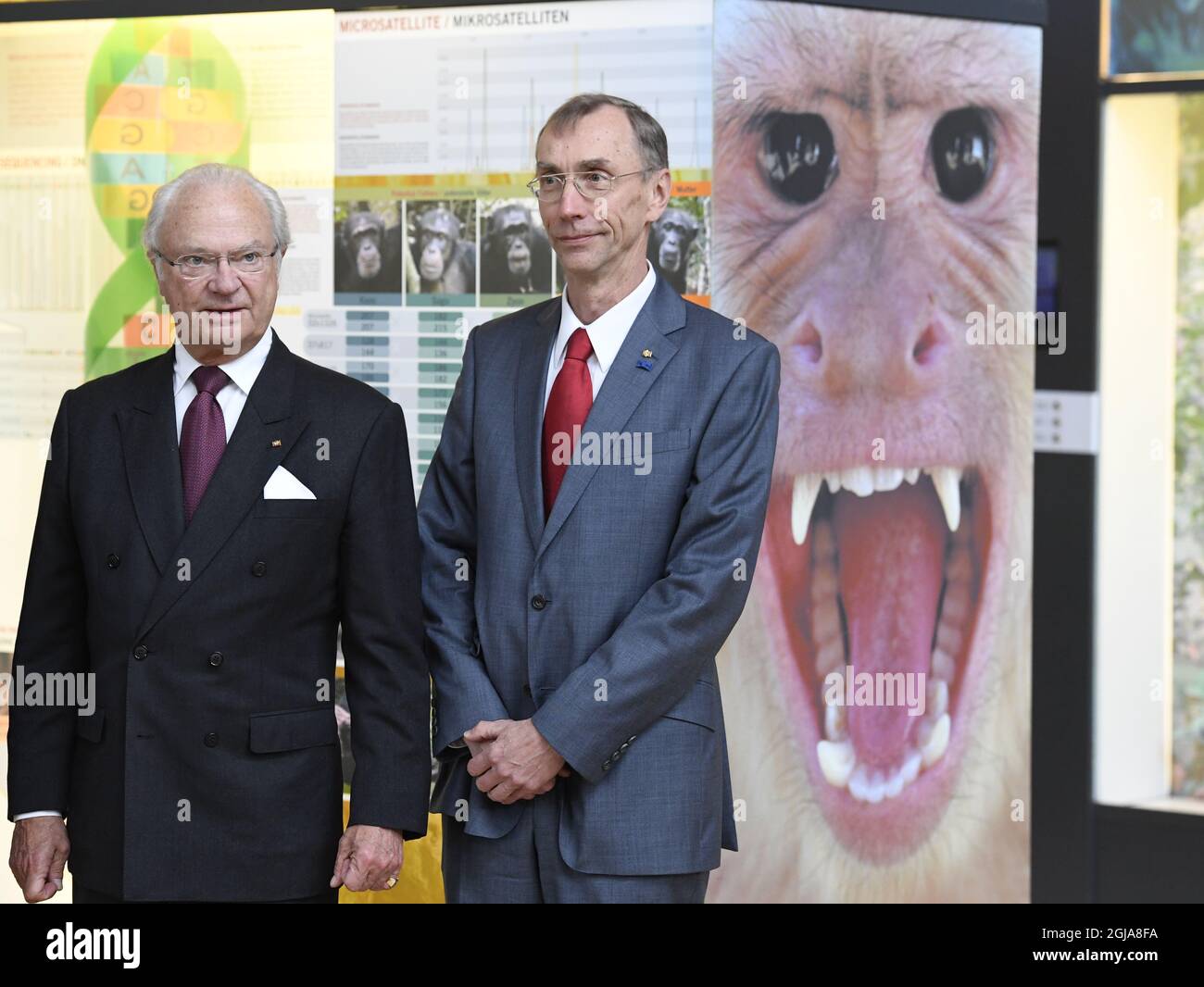 LEIPZIG 20161008 le roi de Suède Carl Gustaf visite l'Institut Max Planck d'anthropologie évolutive à Leipzig le samedi 08 octobre 2016, au cours de la dernière journée de la visite d'État de quatre jours des couples royaux en Allemagne. Le professeur Svante Paabo et ses collègues se présentent sur la prémèse. Photo Jonas Ekstromer / TT / code 10030 Banque D'Images