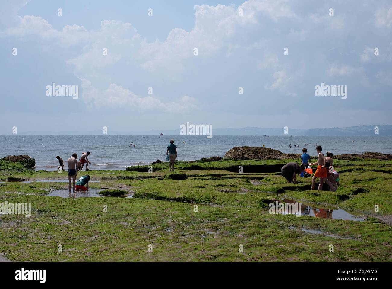 La marée basse à la plage d'Exmouth expose une zone plate de marée riche pour l'exploration de la mise en commun des roches. Banque D'Images