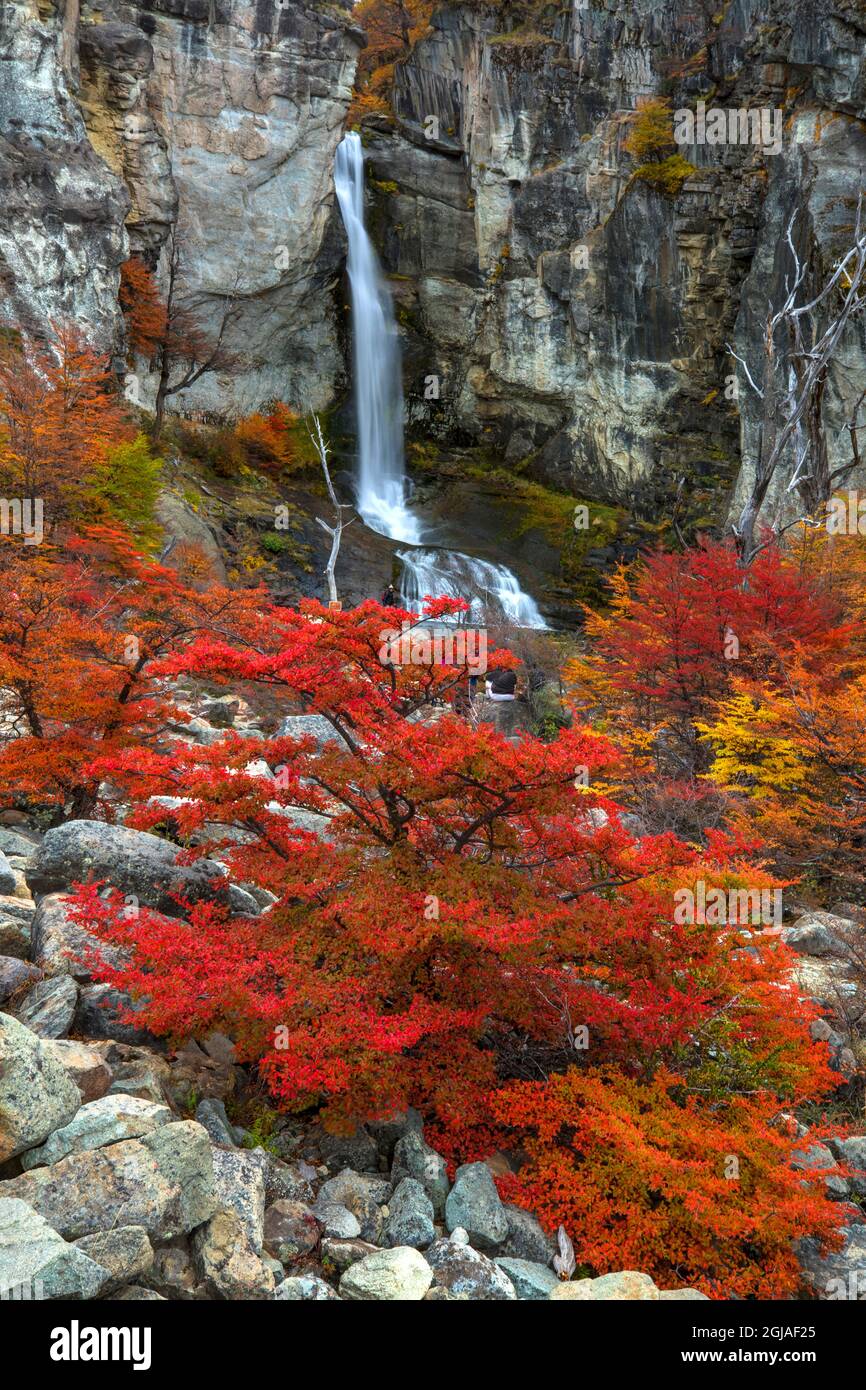 Argentine, Patagonie, El Chalten. Cascade et couleurs d'automne sur les hêtres du sud. Banque D'Images
