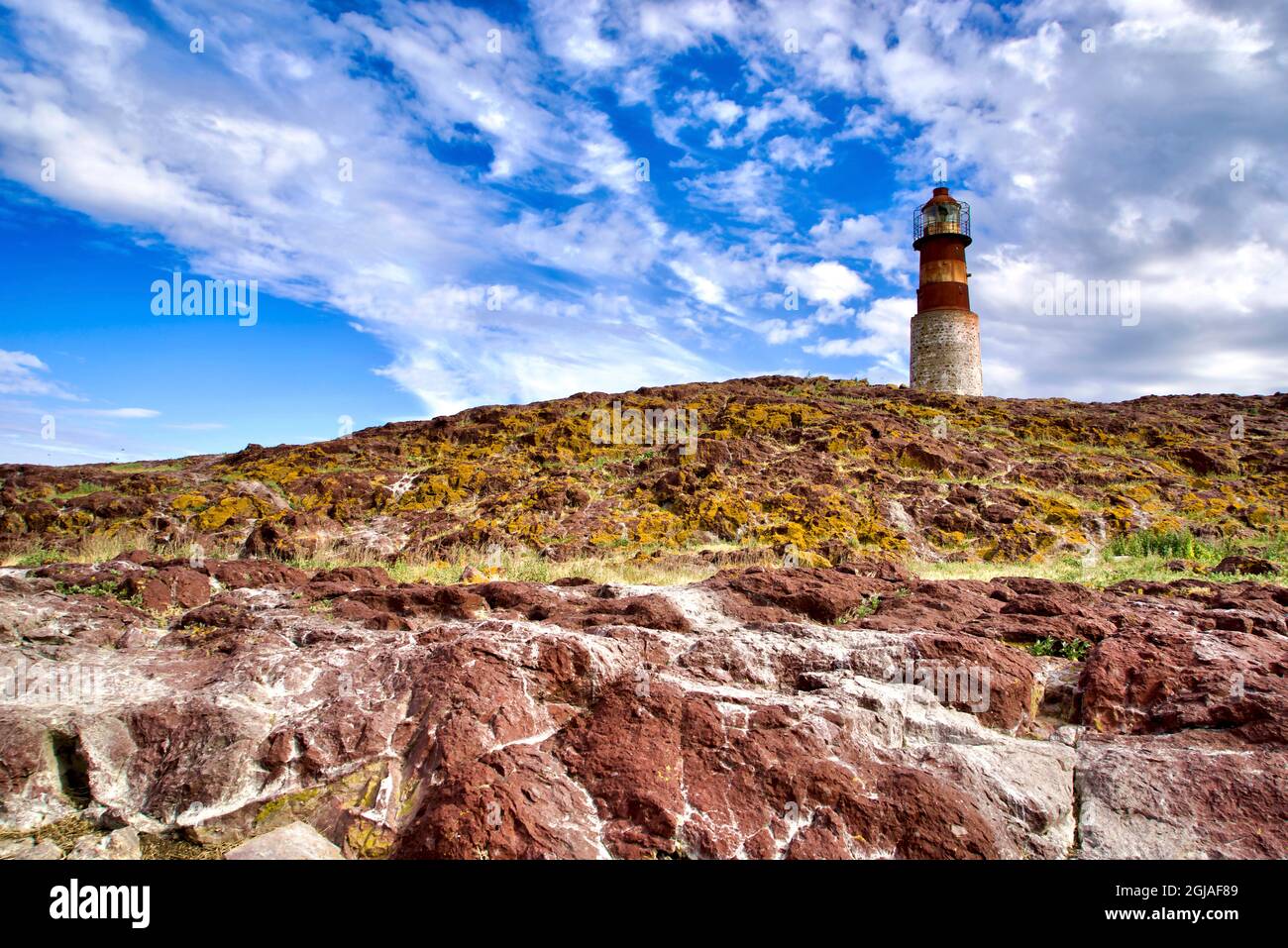 Argentine, Santa Cruz. Puerto Deseado, île des pingouins. Banque D'Images