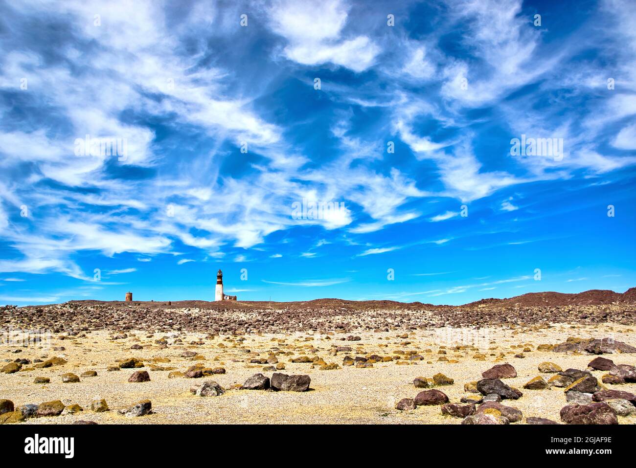 Argentine, Santa Cruz. Puerto Deseado, île des pingouins. Banque D'Images