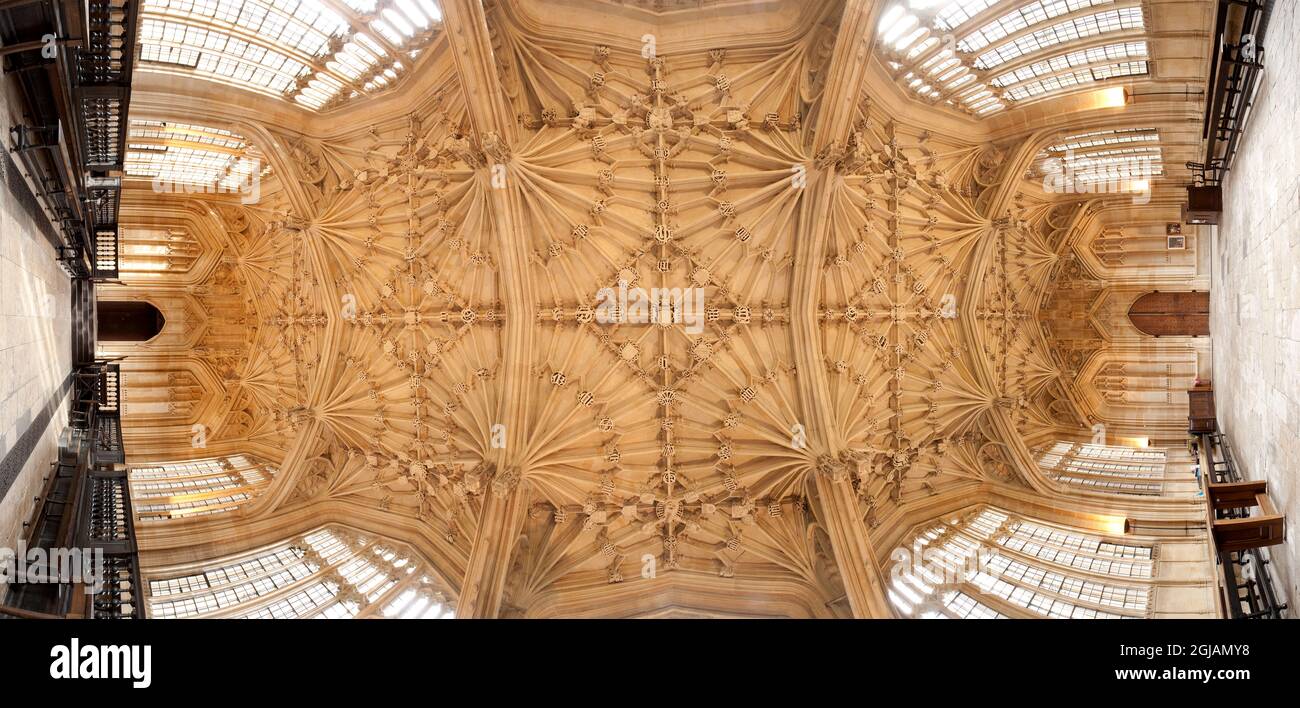 Le plafond voûté du ventilateur de la Divinity School, Oxford University UK Banque D'Images