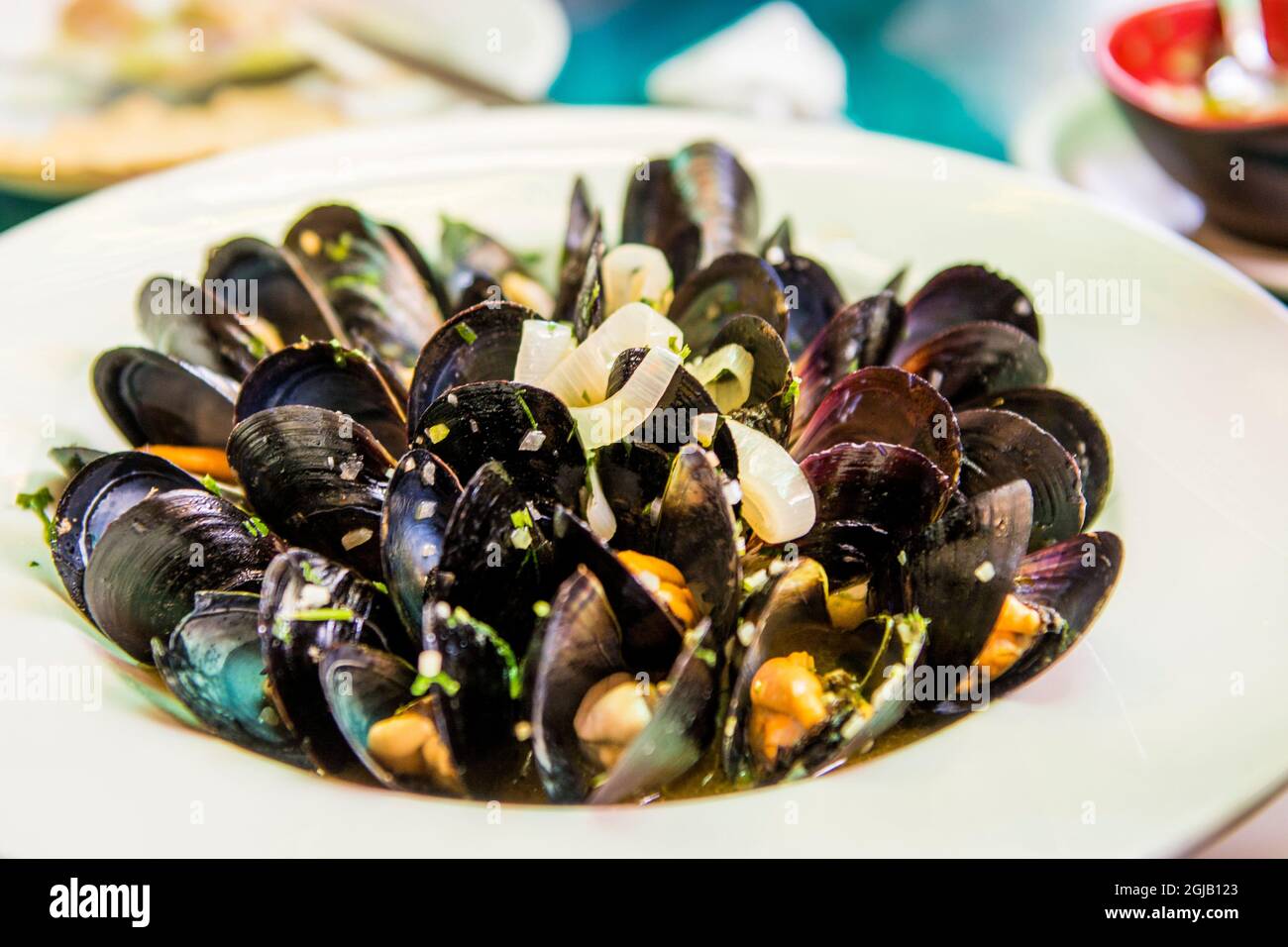 Une cuisine de fruits de mer moules local food Puerto Vallarta, Jalisco, Mexique. Banque D'Images