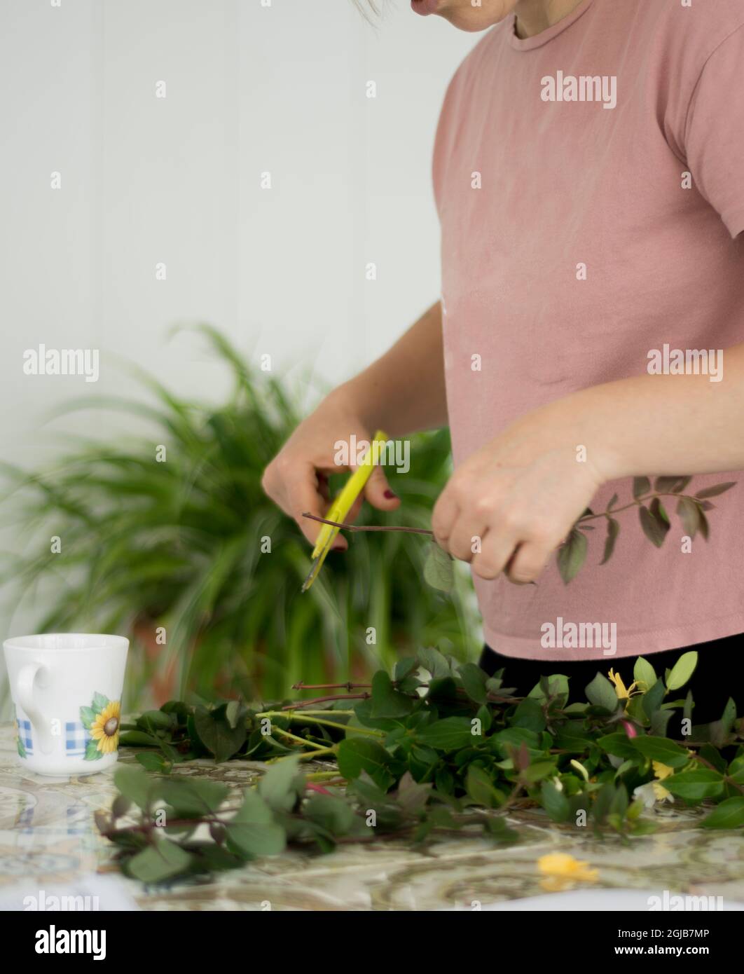 La petite fille et sa tante nettoient les branches d'arbre qu'elles ont recueillies dans le jardin.Branches de mise au point sélective. Banque D'Images