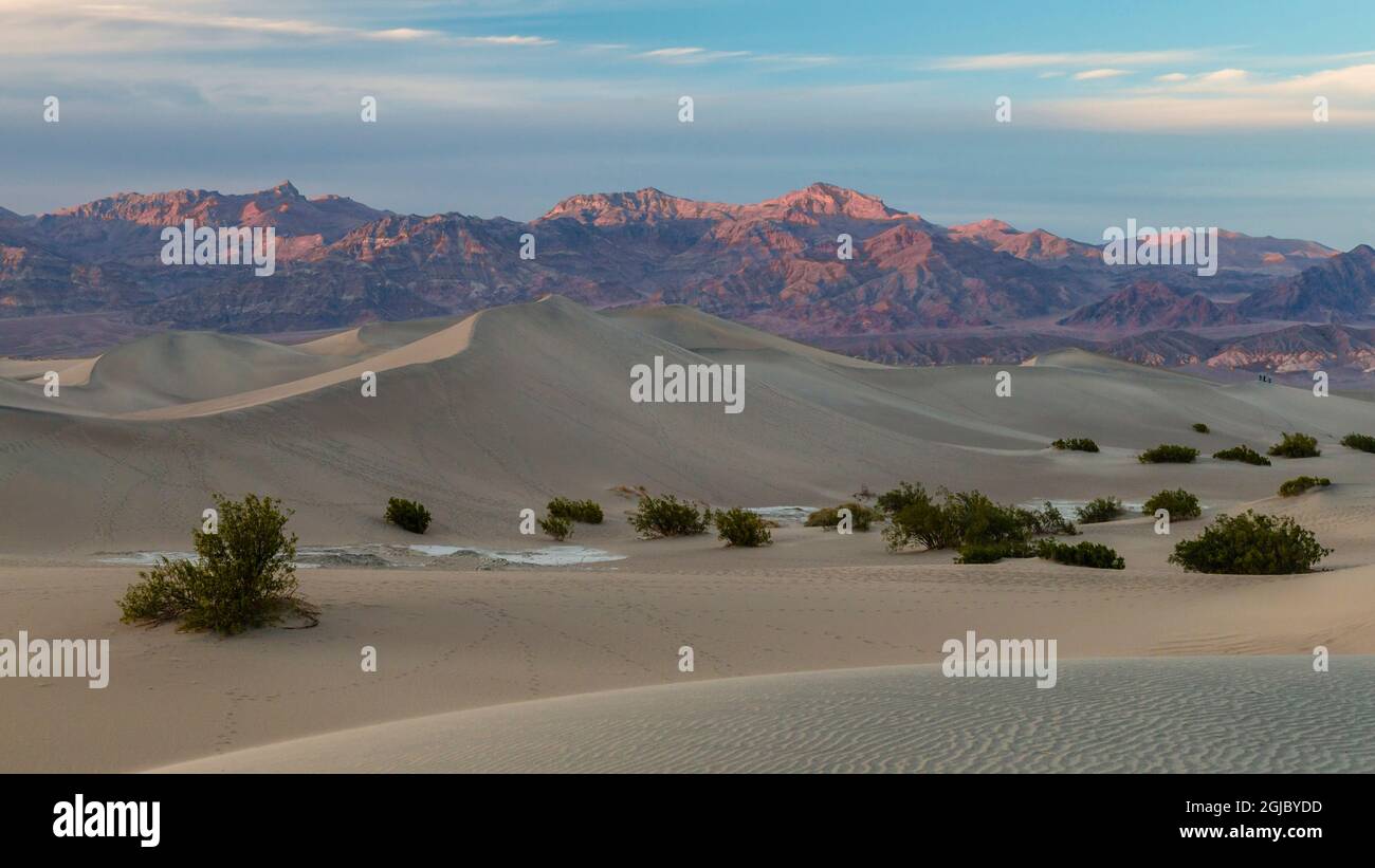 États-Unis, Californie. Vue sur les dunes de sable de Mesquite Flats près de Stovepipe Wells dans le parc national de la Vallée de la mort. Banque D'Images