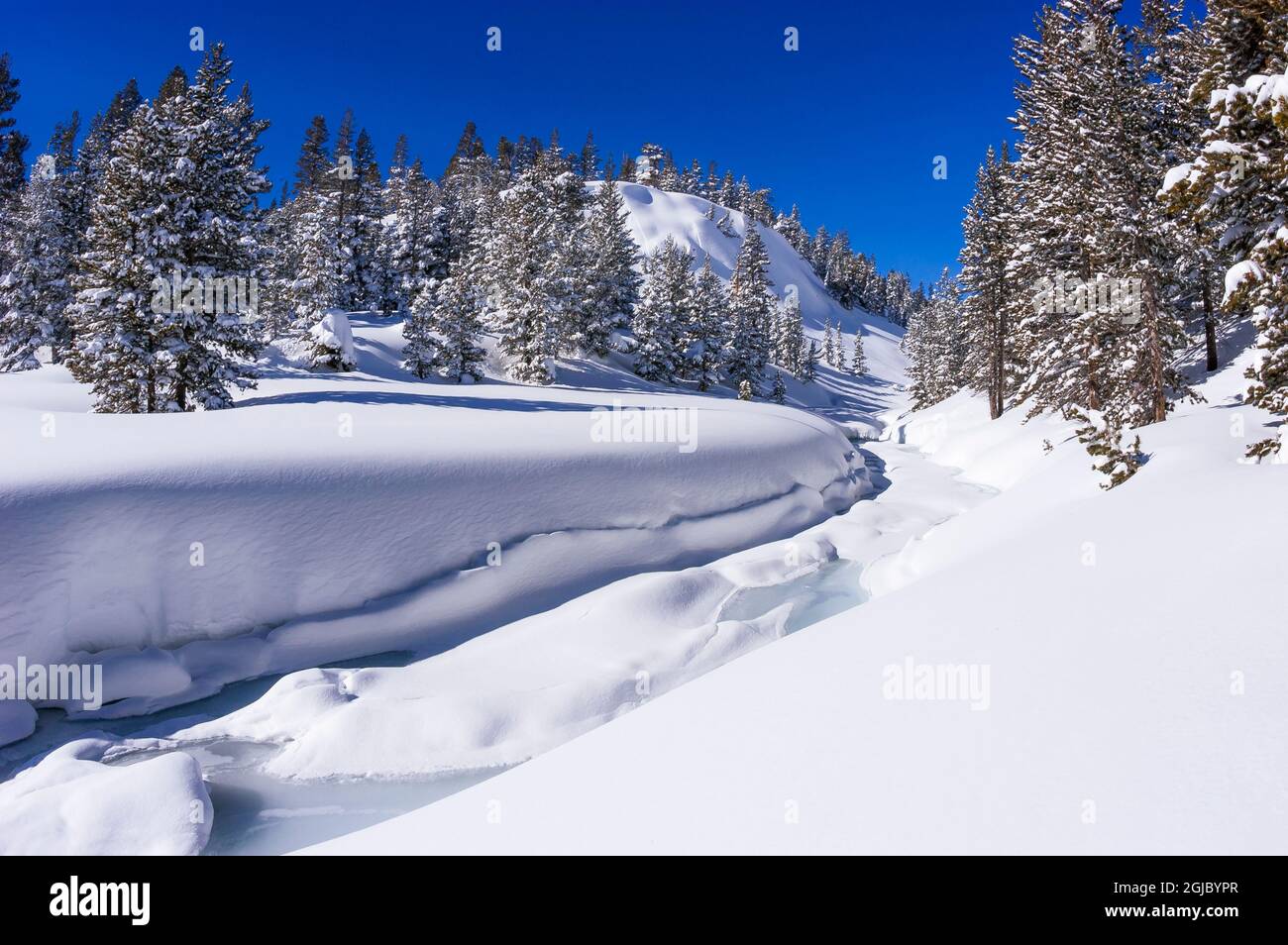 Neige fraîche sur Lee Vining Creek en hiver, Inyo National Forest, Sierra Nevada Mountains, Californie, États-Unis. Banque D'Images