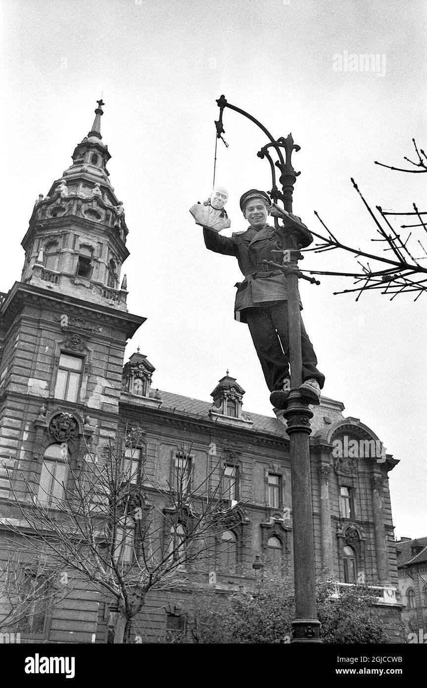 BUDAPEST 1956 Un buste du dirigeant communiste Mátyás rákosi est accroché à un lampadaire dans le centre de Budapest, Hongrie, lors de la révolution nationale contre la République populaire hongroise et ses politiques imposées par les Soviétiques, du 23 octobre au 10 novembre 1956 photo: Anders Engman / Bonnierarkivet / TT / Kod: 3010 Banque D'Images