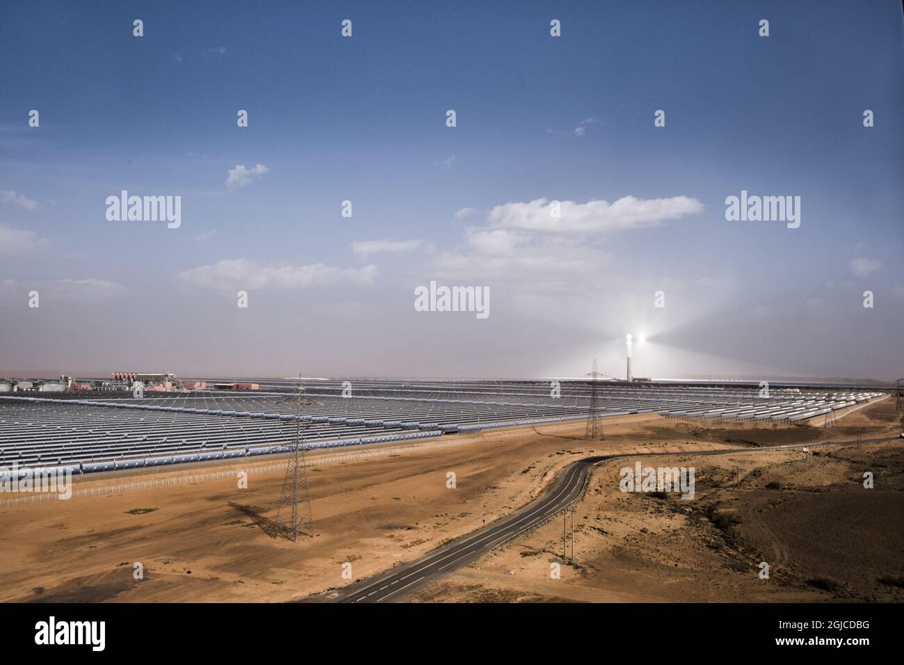 Marocco a construit le plus grand parc solaire du monde dans le désert du Sahara, la centrale solaire Quarzazate. Les miroirs au sol reflètent les rayons du soleil contre le récepteur dans la tour Noor 3, la plus haute tour d'Afrique avec ses 246 mètres. La tour est visible à plusieurs kilomètres. Photo: Magnus Hjalmarson Neideman / SVD / TT / Kod 10078 Banque D'Images