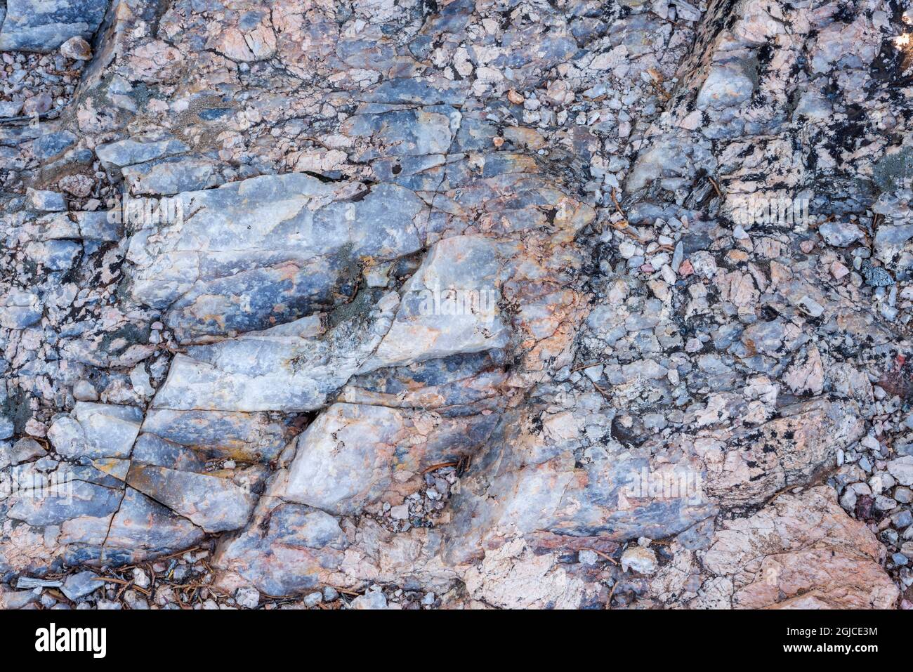 États-Unis, Colorado, Black Canyon of the Gunnison National Park, quartz fracturé et érodé à Rock point. Banque D'Images