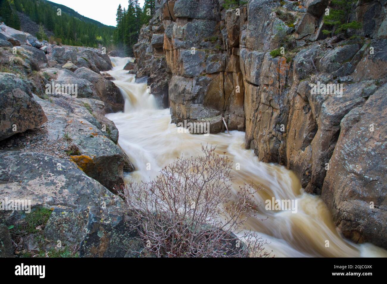 États-Unis, Colorado. La rivière cache-la-poudre se cascade à travers l'eau vive dans le nord du Colorado. Banque D'Images