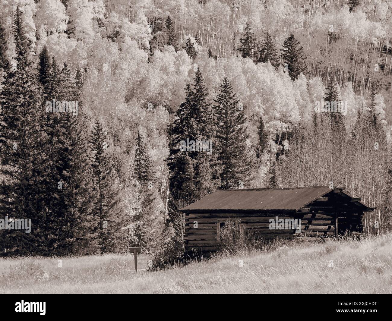 États-Unis, Colorado, Telluride en automne avec ancienne cabane en rondins Banque D'Images