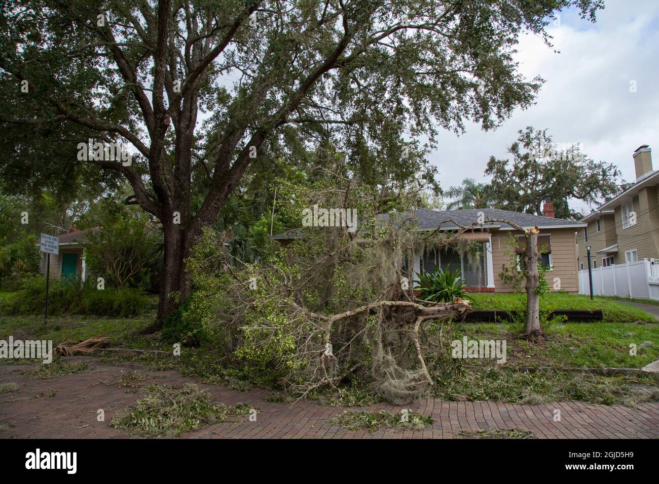 Ouragan Irma dégâts dans le centre-ville historique de Lake Eola Heights, Orlando, Floride. 11 septembre 2017. Banque D'Images