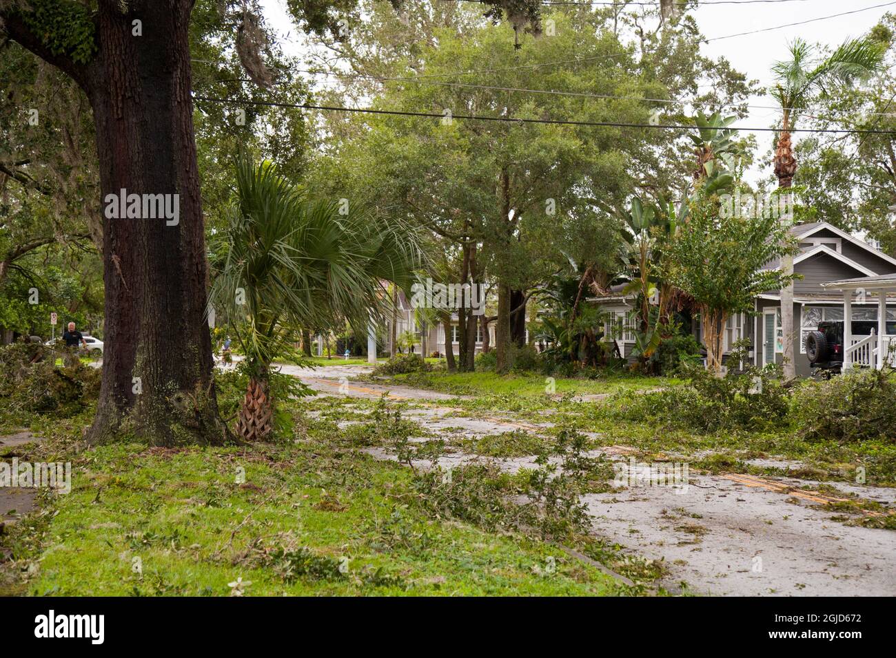 Ouragan Irma dégâts dans le centre-ville historique de Lake Eola Heights, Orlando, Floride. 11 septembre 2017. Banque D'Images