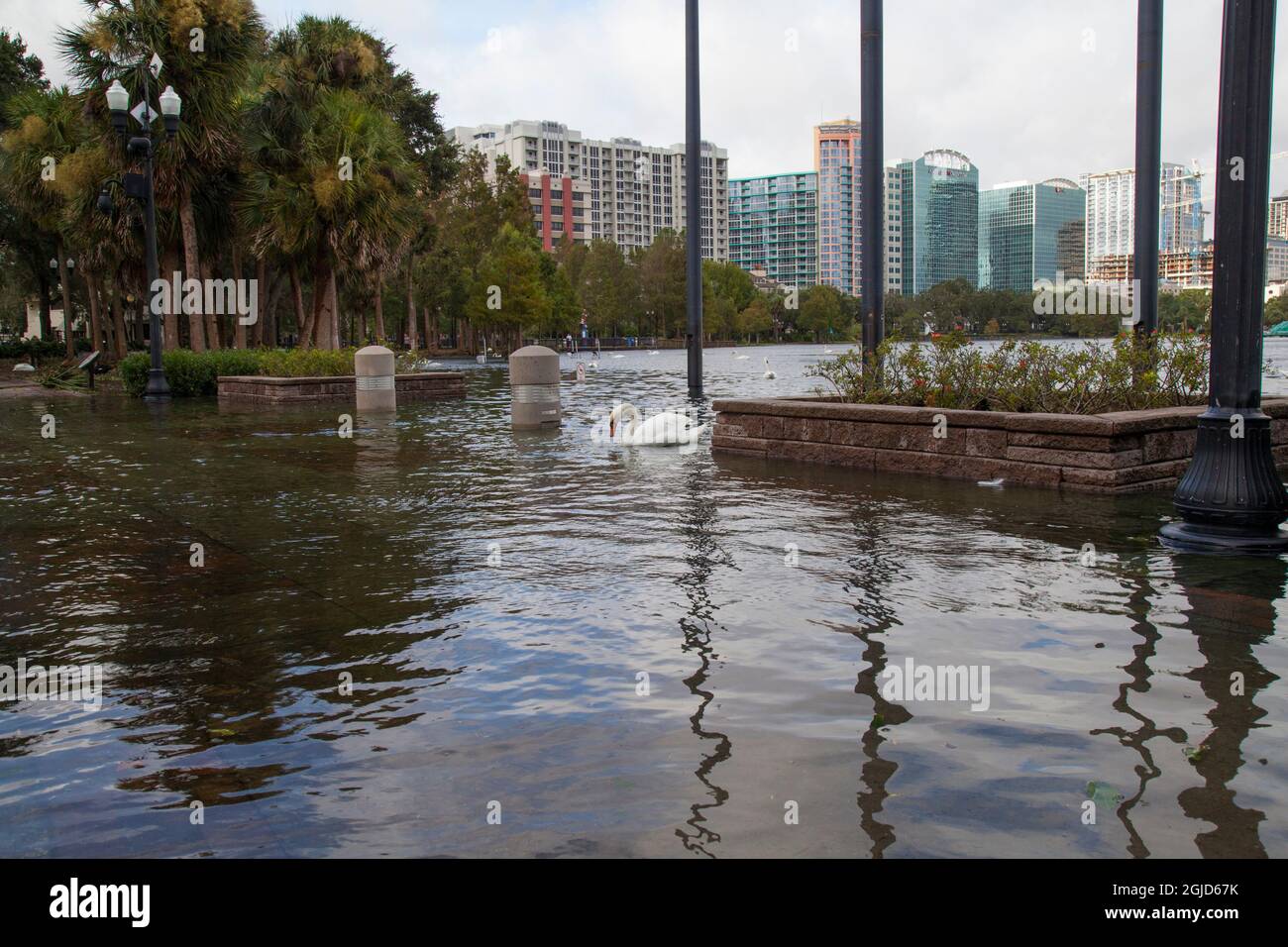 Ouragan Irma dégâts dans le centre-ville historique de Lake Eola Heights, Orlando, Floride. 11 septembre 2017. Banque D'Images