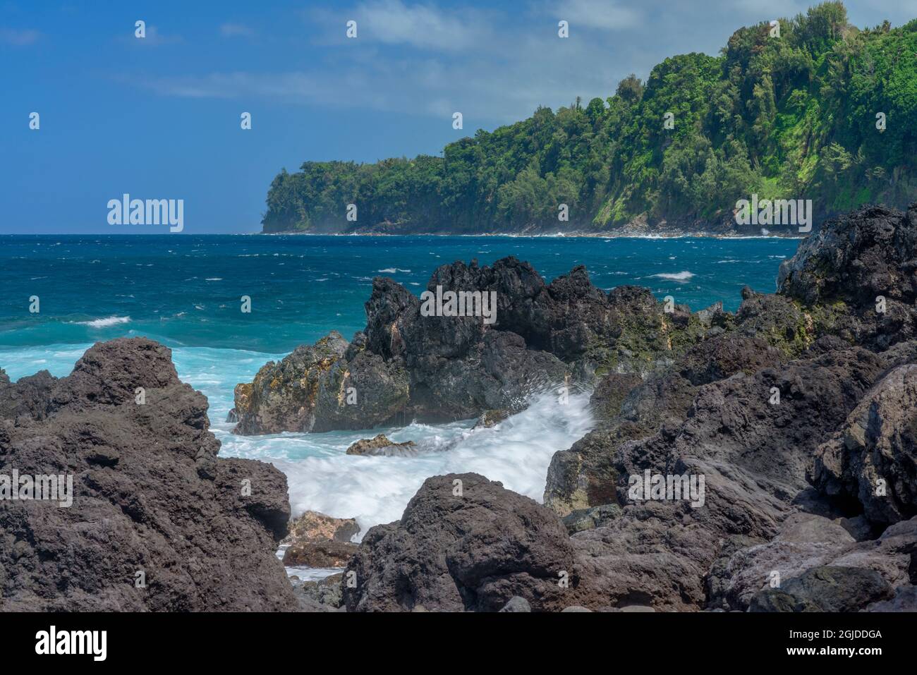 États-Unis, Hawaï, Big Island d'Hawaï. Parc de plage de Laupahoehoe point, roche volcanique, vagues entrantes et forêt tropicale éloignée. Banque D'Images