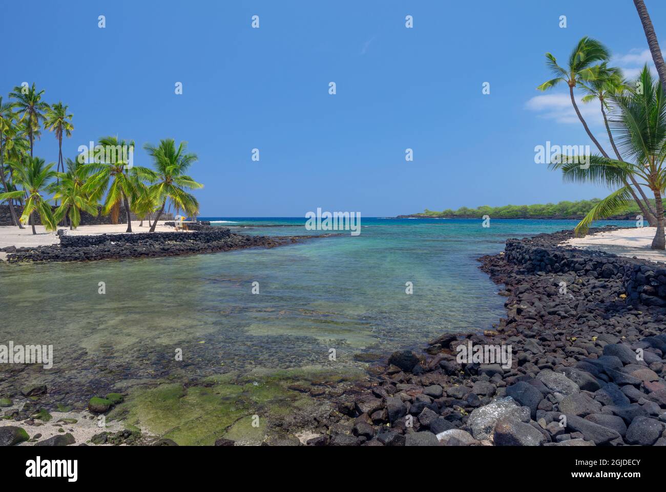 États-Unis, Hawaï, Big Island d'Hawaï. Parc historique national de pu'uhonua O Honaunau, crique Keone'ele et palmiers. Banque D'Images