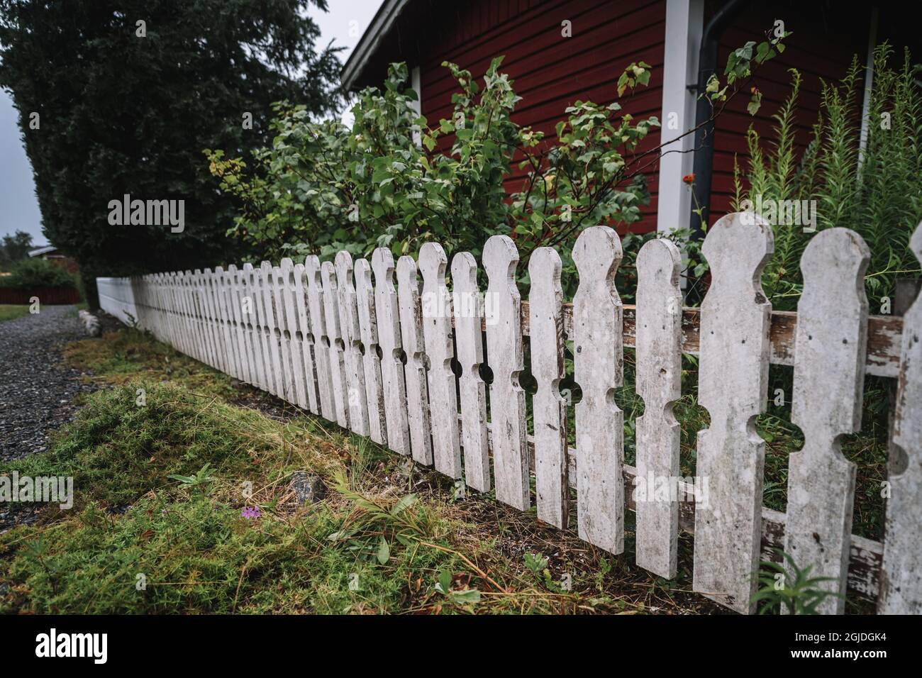 STOCKHOLM 20200730 Une clôture blanche entourant un jardin et un chalet rouge à Stockholm, en Suède. Photo: Stina Stjernkvist / TT / code 11610 Banque D'Images