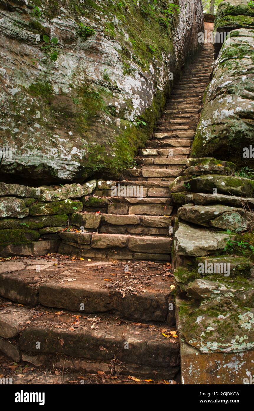 Escalier en pierre dans la fente de la falaise. Bell Smith Springs, forêt nationale de Shawnee, Illinois Banque D'Images