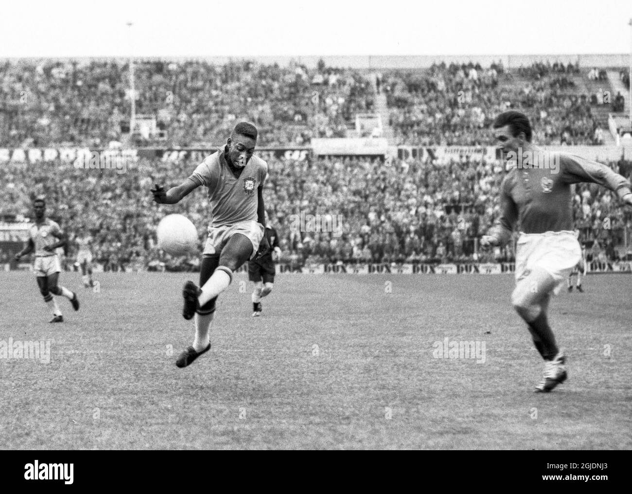STOCKHOLM 1958-06-24 Pelé du Brésil (L) prend des photos lors de la demi-finale de football de la coupe du monde de la FIFA entre le Brésil et la France au stade Rasunda de Stockholm, en Suède, sur 24 juin 1958. Photo: Pressens Bild / TT / code: 190 Banque D'Images