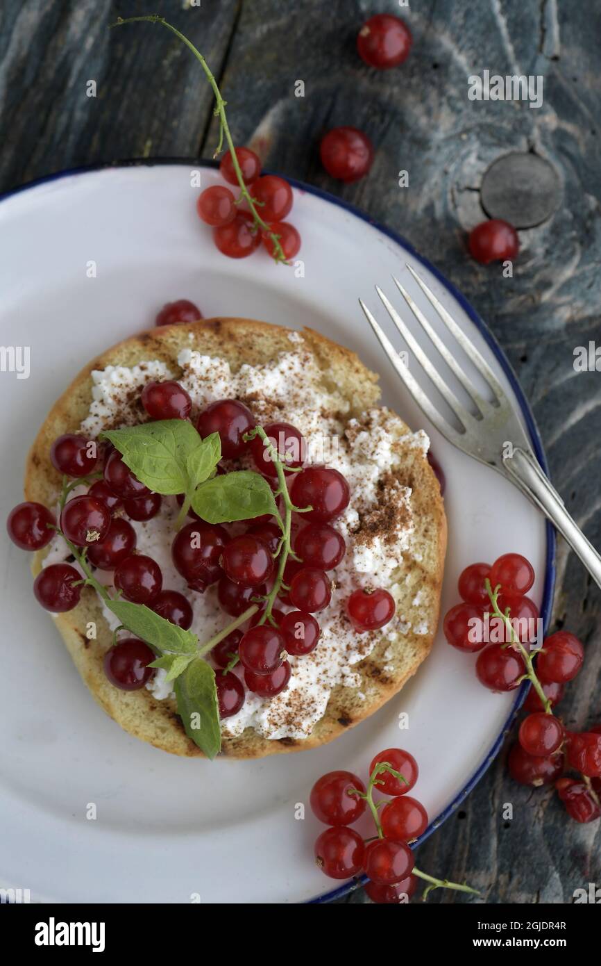 Bruschetta de cassis. Photo Janerik Henriksson / TT code 10010 Banque D'Images