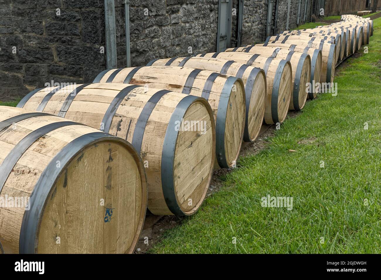 Ligne de barils de bourbon, distillerie Woodford Reserve, Versailles, Kentucky. (Usage éditorial uniquement) Banque D'Images
