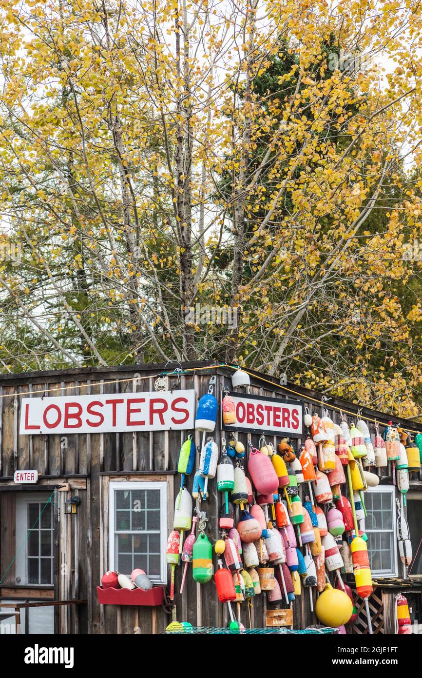 États-Unis, Maine, Mt. Desert Island. Eden, restaurant traditionnel de fruits de mer de homard Shack à l'automne. Banque D'Images