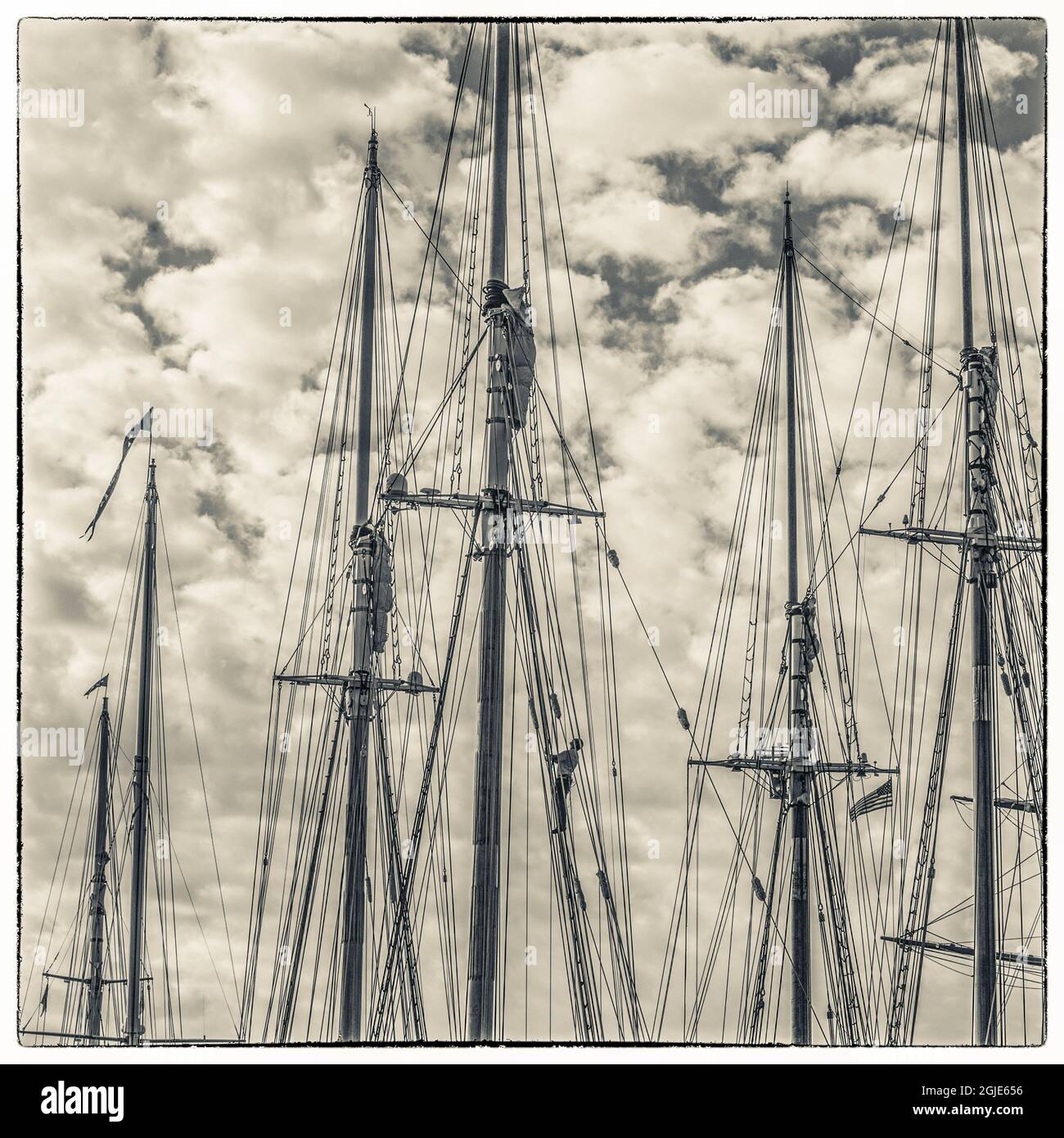 États-Unis, Massachusetts, Cape Ann, Gloucester. Festival de la Schoonette de Gloucester, mâts de la goélette à l'aube. Banque D'Images