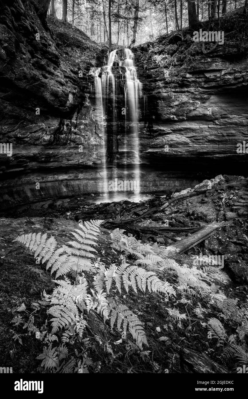 États-Unis, Michigan, Upper Peninsula, Munising, automne à Tannery Falls, alias Olson Falls Banque D'Images