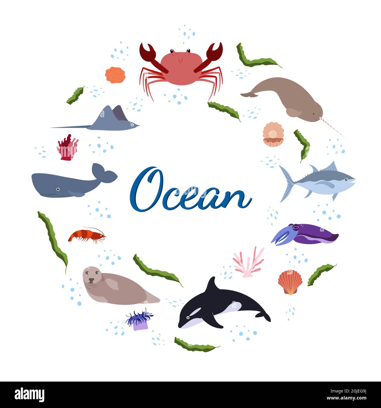 Modèle avec motif animal marin en cercle pour un imprimé enfant.  Composition ronde d'animaux marins, crabe et phoque, baleine, coquille avec  perle. Ensemble vectoriel de la vie sous-marine dans le style de