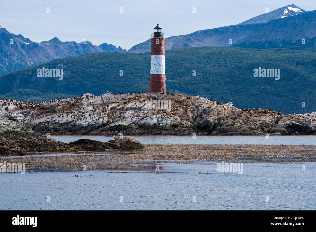 Phare à Ushuaia, Argentine, Patagonie, pays de feu Banque D'Images