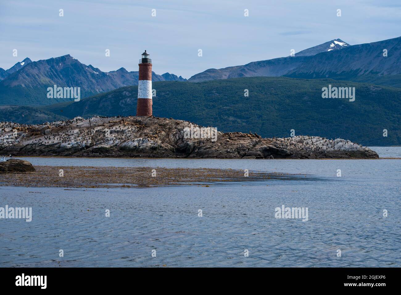 Phare à Ushuaia, Argentine, Patagonie, pays de feu Banque D'Images