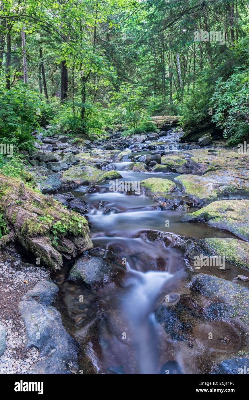 États-Unis, Oregon. Oswald West State Park, Necarney Creek. Banque D'Images