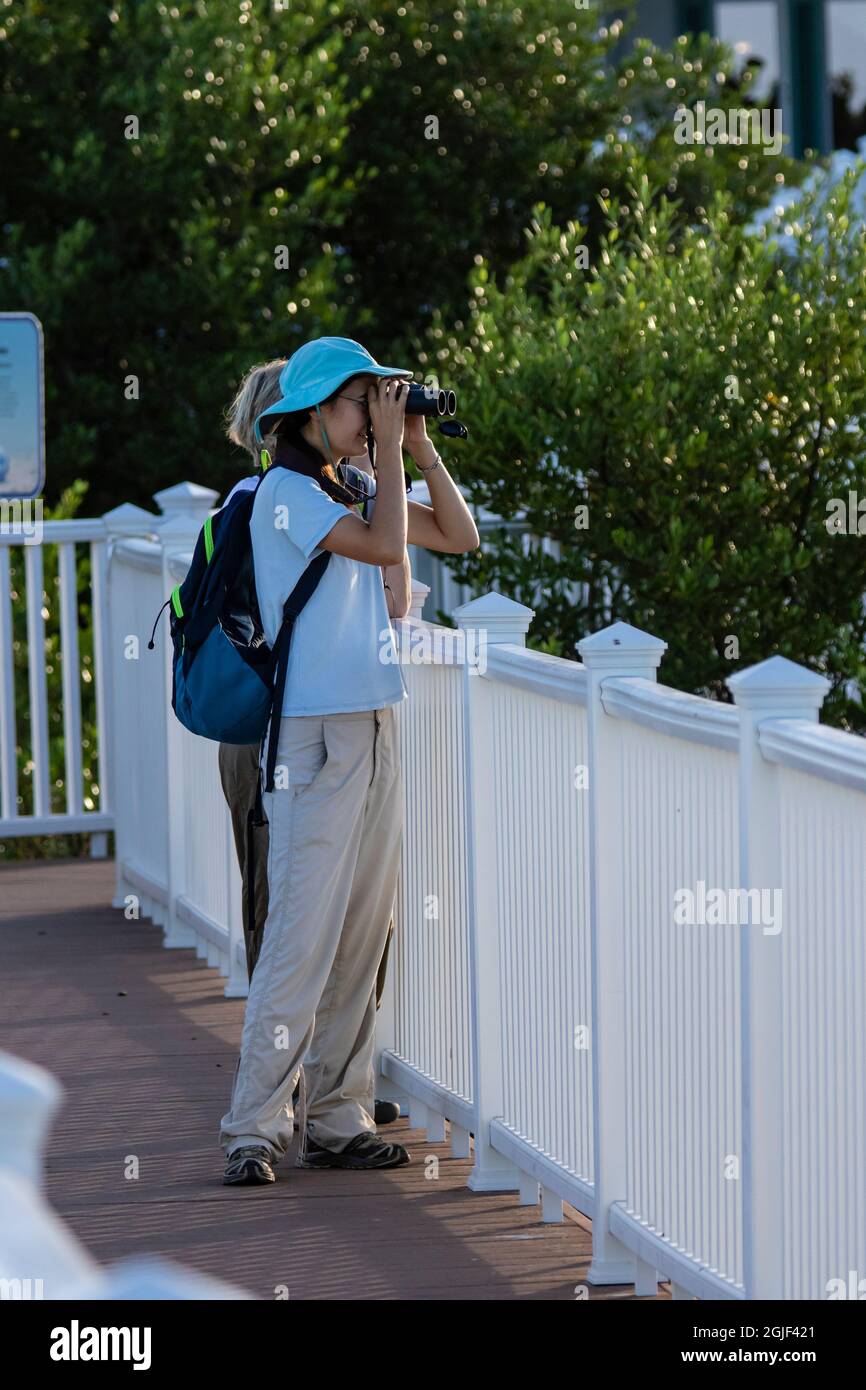 Observation des oiseaux à South Padre Island. Banque D'Images