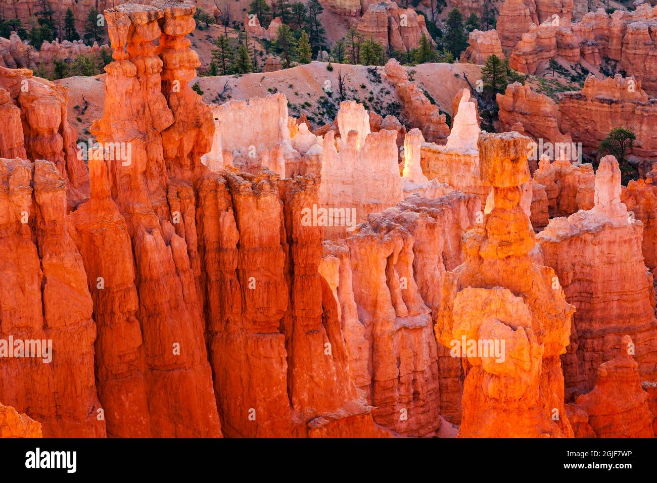 Thor's Hammer, Sunset point, parc national de Bryce Canyon, Utah. Banque D'Images