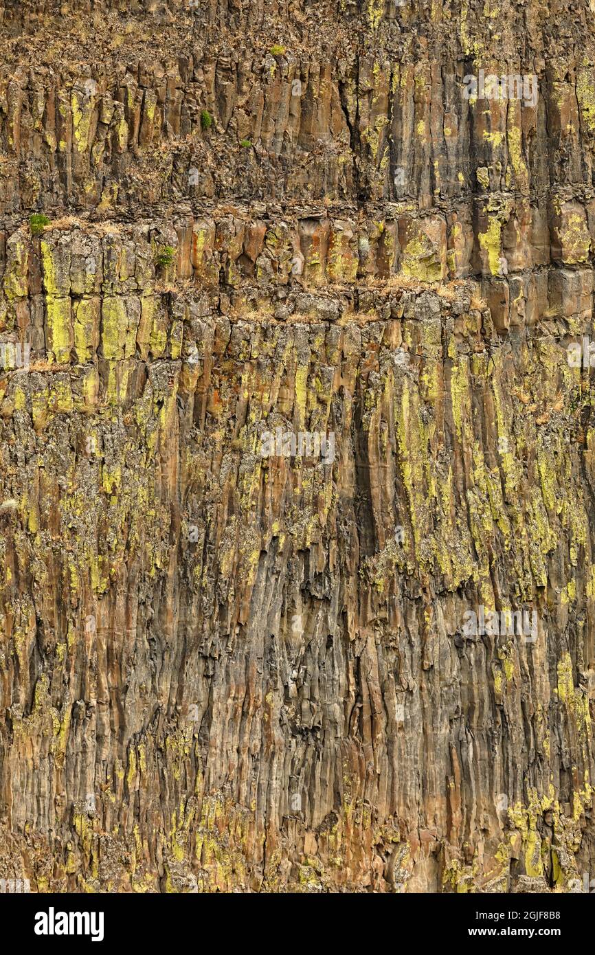 Motif sur les falaises de basalte, parc national de Palouse Falls, Franklin, comté de Whitman, État de Washington. Banque D'Images