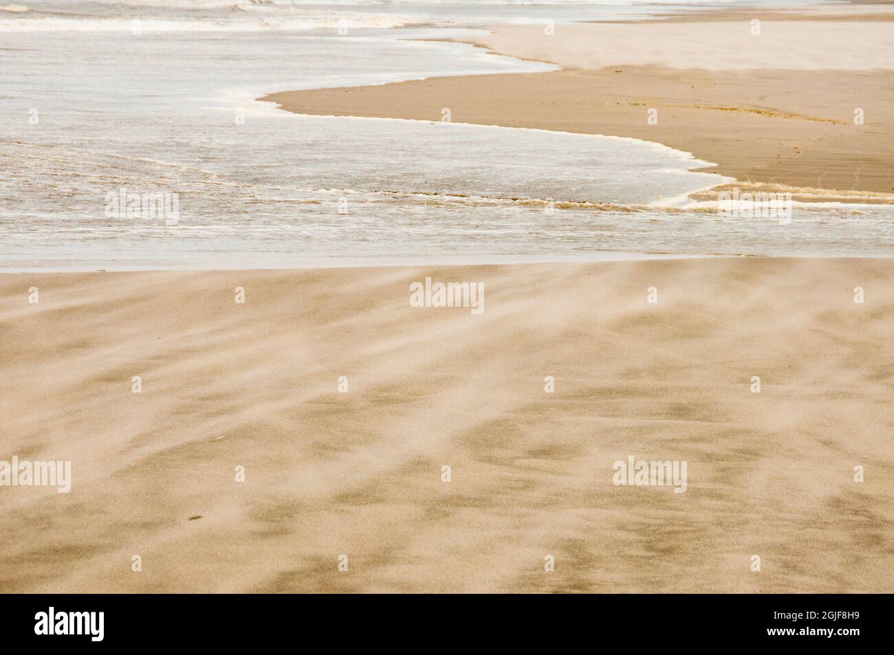 États-Unis, État de Washington. Long Beach, sable soufflé par le vent. Banque D'Images