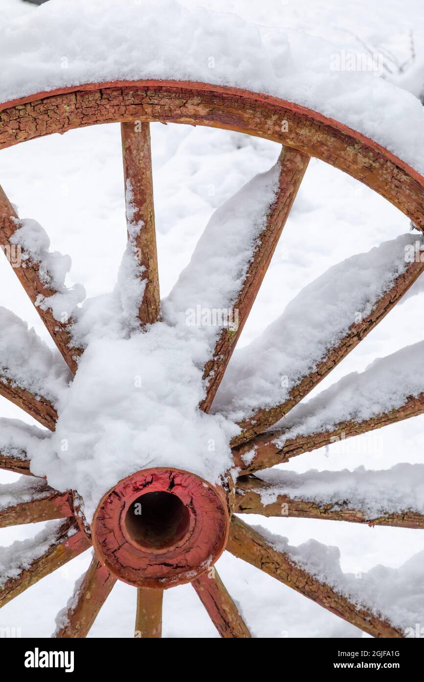 États-Unis, État de Washington, Seabeck. Roue de chariot enneigée. Crédit : Don Paulson / Galerie Jaynes / DanitaDelimont.com Banque D'Images
