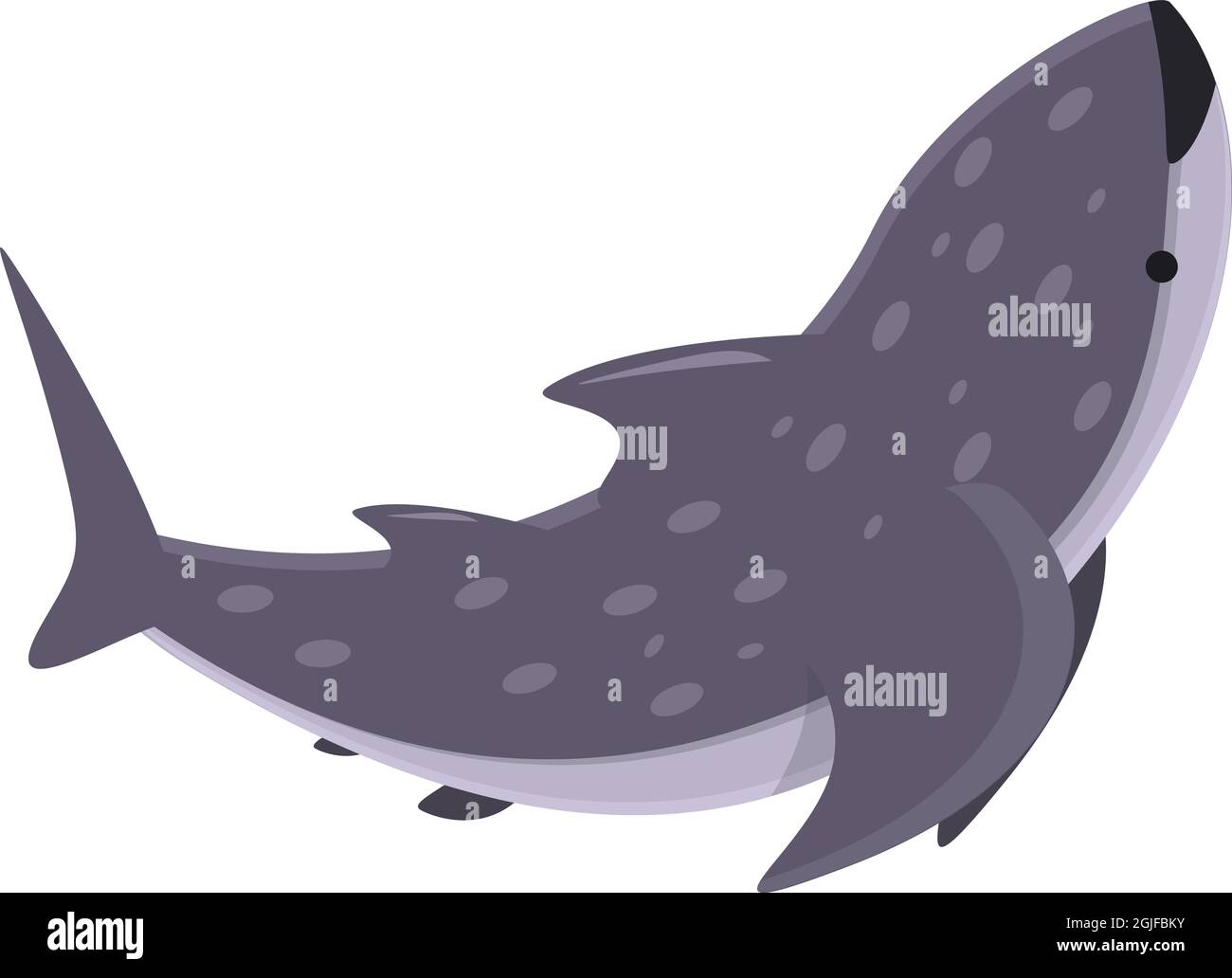 Vecteur de dessin animé de l'icône représentant un requin-baleine océanique. Poisson mer. Animal aquatique Illustration de Vecteur