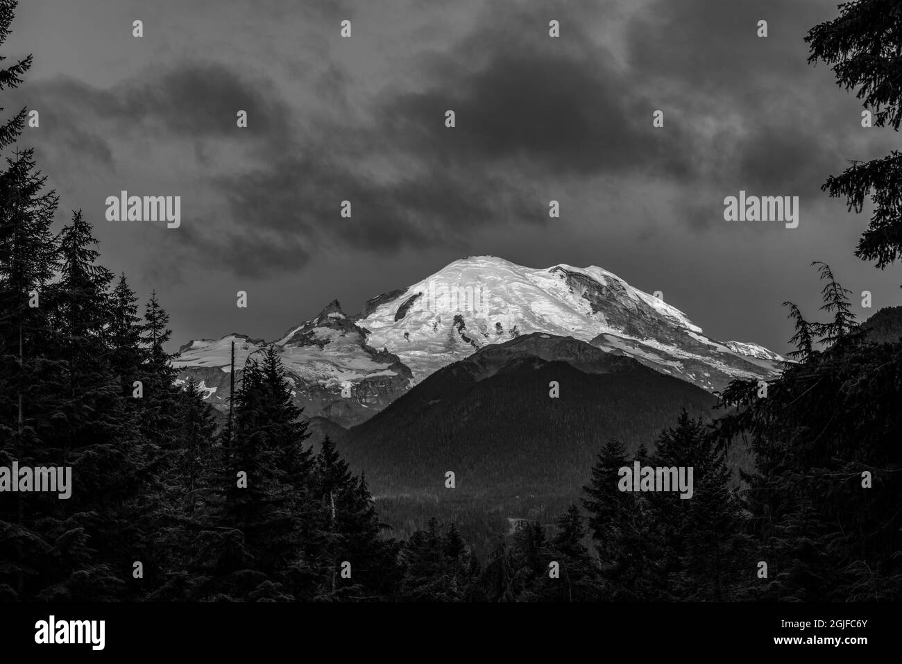 Alpenglow au lever du soleil, Mt. Rainier depuis l'est, parc national du Mont Rainier, État de Washington Banque D'Images