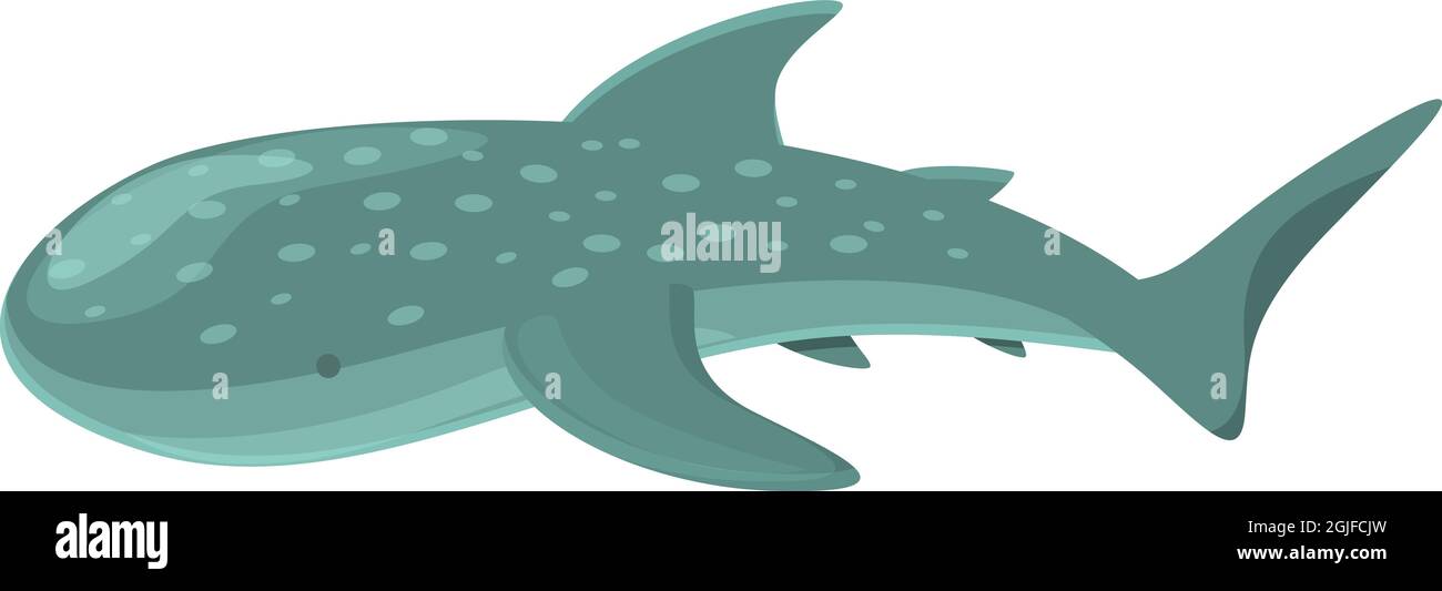 Vecteur de dessin animé de l'icône de requin-baleine tacheté. Poissons d'océan. Animal sous l'eau Illustration de Vecteur