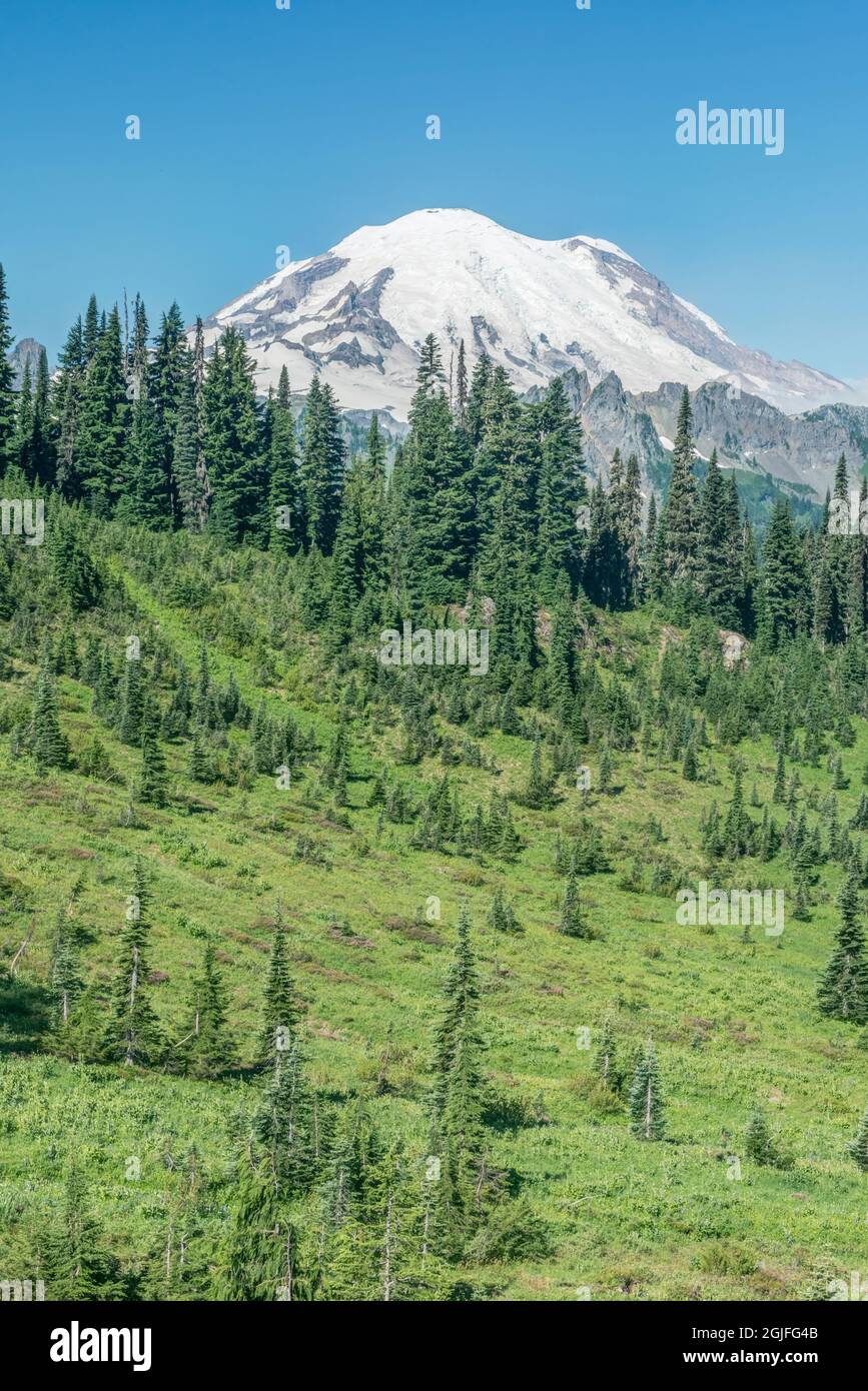 Etat de Washington, Mt. Parc national de Rainier, Mt. Rainier Banque D'Images