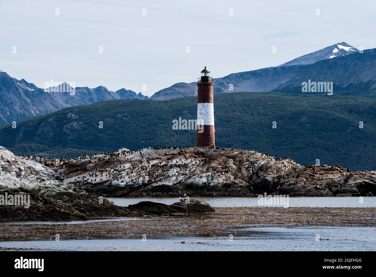 Phare à Ushuaia, Argentine, Patagonie, pays de feu Banque D'Images
