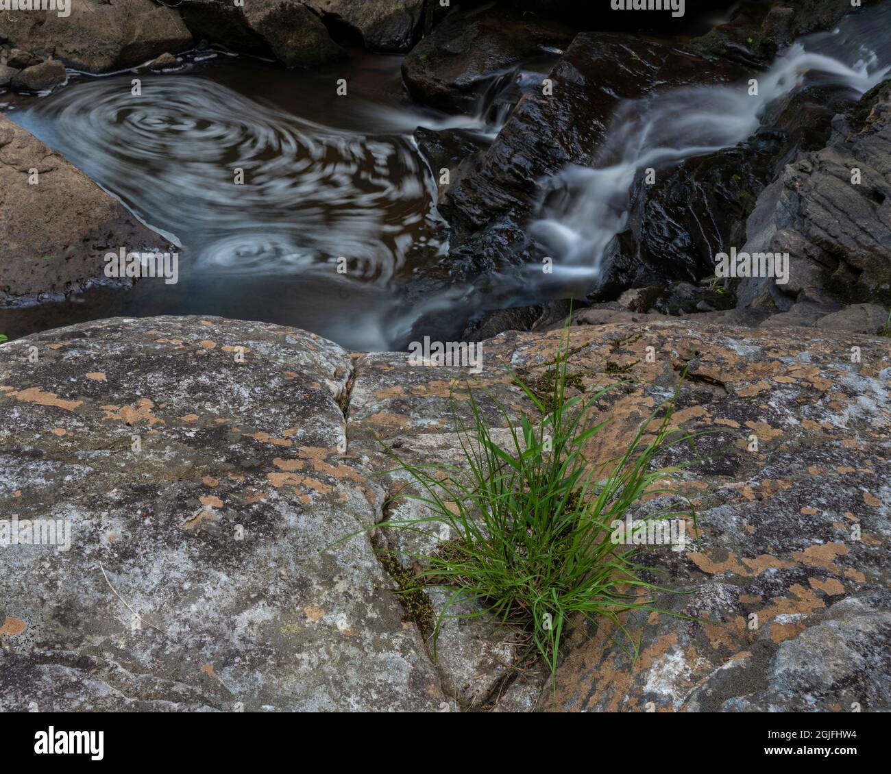 États-Unis, Virginie occidentale, parc national de Blackwater Falls. Cascade et tourbillons dans la piscine. Banque D'Images