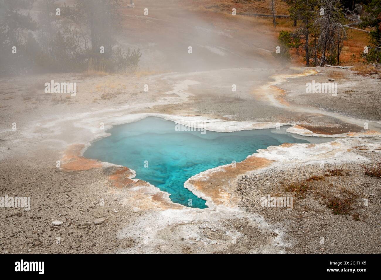 Blue star Spring, Upper Geyser Basin, parc national de Yellowstone, Wyoming Banque D'Images